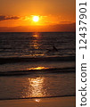 日落/湘南 12437901