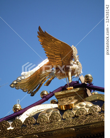 Momotashi Momotashi 12438142