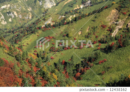 志賀高原 12438162