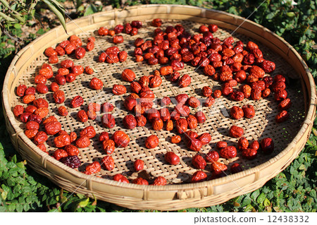 Jujube of sun drying Jujube of sun drying 12438332