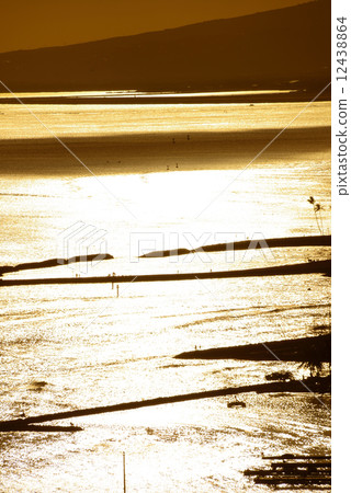 美國夏威夷日落 美國夏威夷日落 12438864