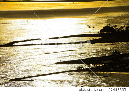 美國夏威夷日落 美國夏威夷日落 12438865