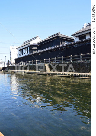 "Kuranoyagi" spreading along the Tomoeagawa River (Tochigi City, Tochigi Prefecture) 12439866