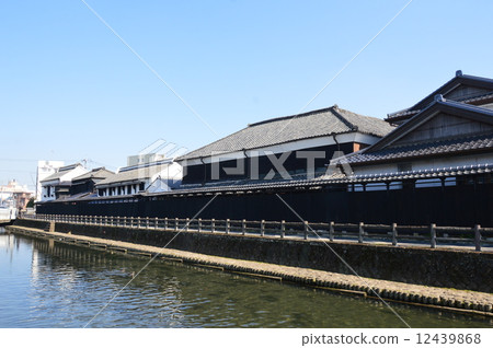 "Kuranoyagi" spreading along the Tomoeagawa River (Tochigi City, Tochigi Prefecture) 12439868