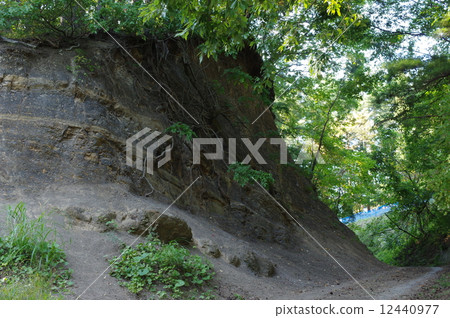Outburst of a separate layer black mudstone (Matsumoto City Hellosawa Pass) 12440977