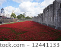 flower garden, flower field, tower of london 12441133