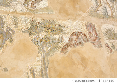 ancient remains of a mosaic of Carthage 12442450