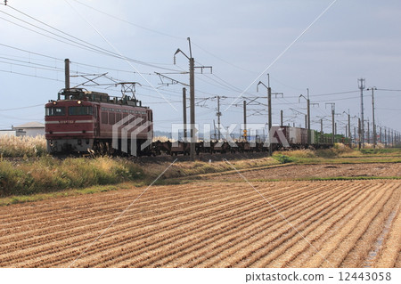 EF 81 towing freight train 12443058