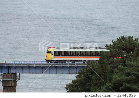 由日本海和Kumage組織 12443059