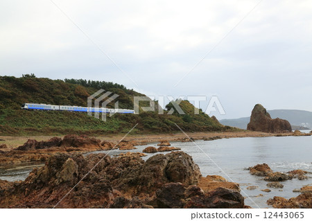 Aoike formation that runs along the beach 12443065