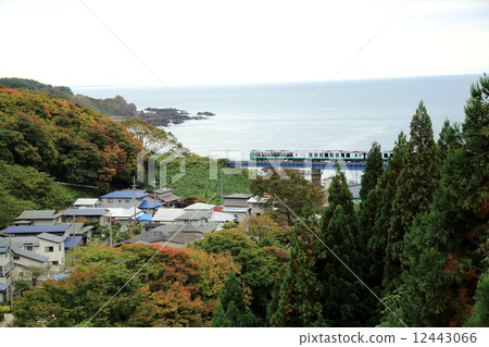 穿過鐵橋樑的山毛櫸形成 12443066