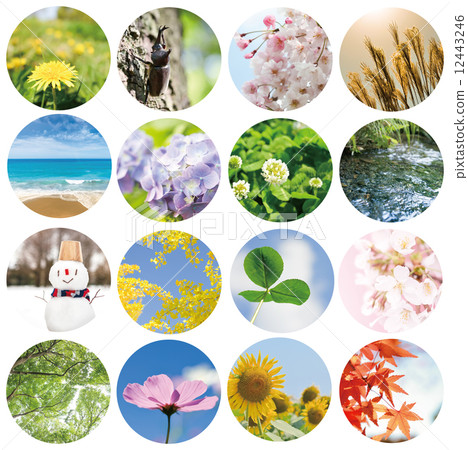 Spring summer autumn winter 12443246