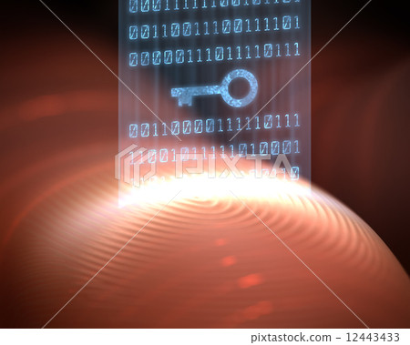 Fingerprint Security Digital 12443433