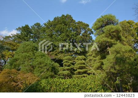 Landscape with green 12443823
