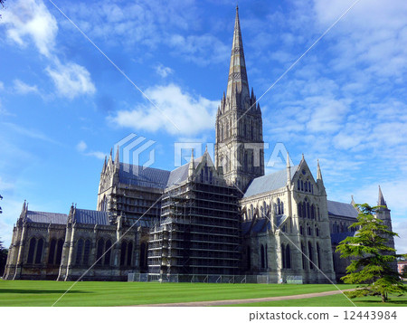 Salisbury Cathedral Salisbury Cathedral 12443984