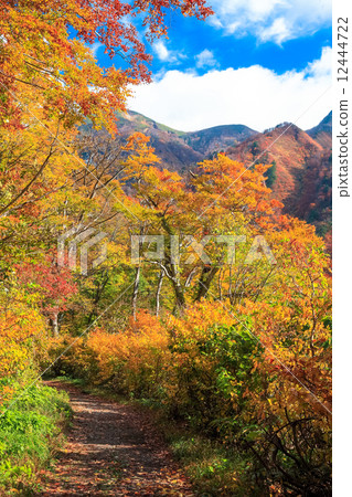 Trekking of Kurazawa Kanejo Tanigawa 12444722
