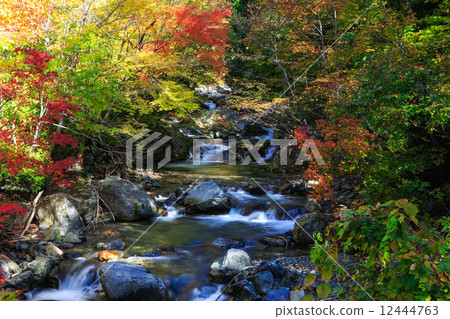 Terracotta red leaves 2014-2 Terracotta red leaves 2014-2 12444763