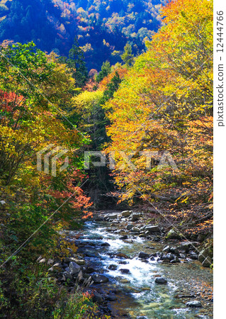 Teruhauchi Gorge 2014-5 12444766