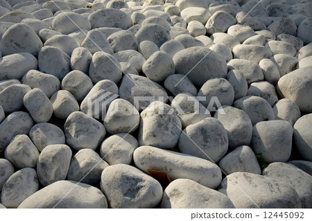 Pebbles 12445092