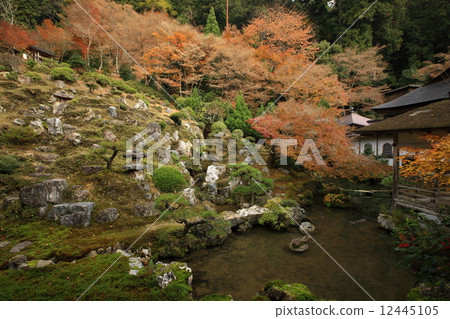 Autumn leaves of Togansuji Temple Autumn leaves of Togansuji Temple 12445105