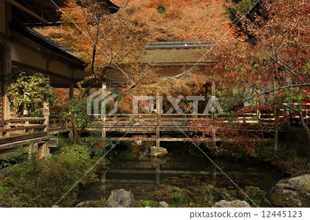 Autumn leaves of Togansuji Temple Autumn leaves of Togansuji Temple 12445123