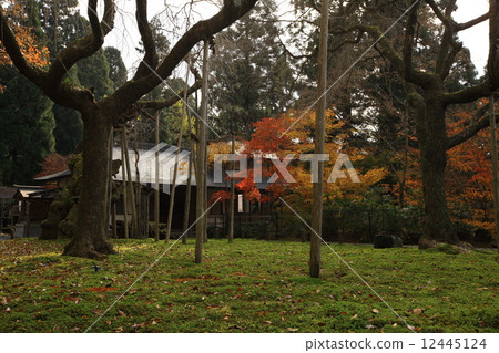 Autumn leaves of Togansuji Temple Autumn leaves of Togansuji Temple 12445124