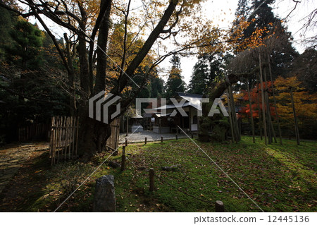 Togansuji寺廟秋葉 12445136