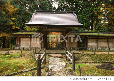 Autumn leaves of Togansuji Temple 12445175