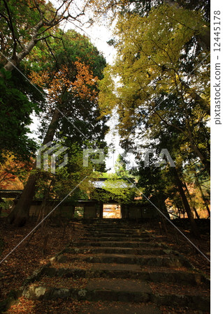 Autumn leaves of Togansuji Temple Autumn leaves of Togansuji Temple 12445178