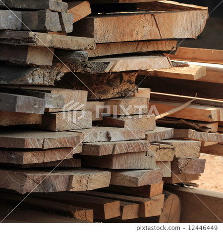 Pile of wood plank for wooden industry 12446449