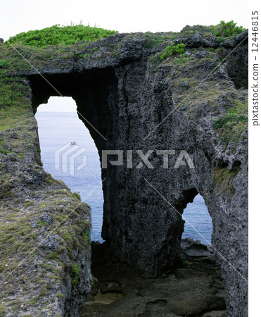 Dog's door lock Dog's door lock 12446815