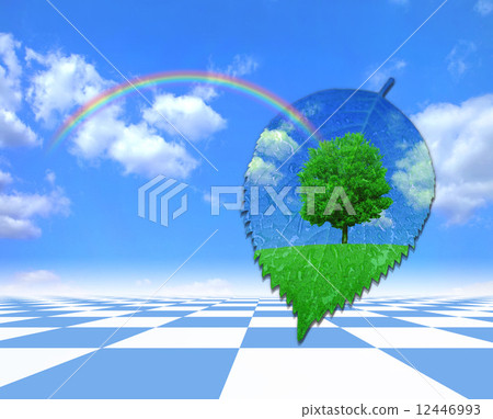 在葉子和彩虹的生態風景 在葉子和彩虹的生態風景 12446993
