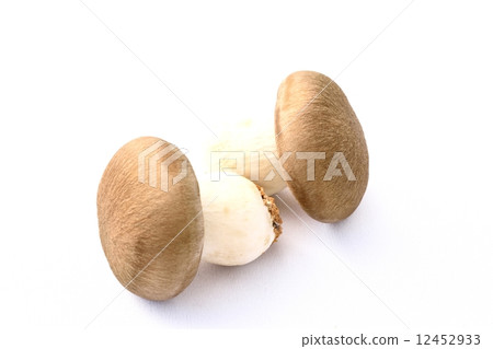 漢離褶傘菇 12452933