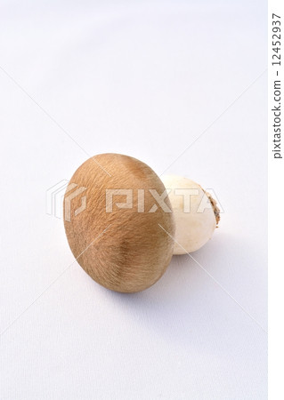 漢離褶傘菇 12452937