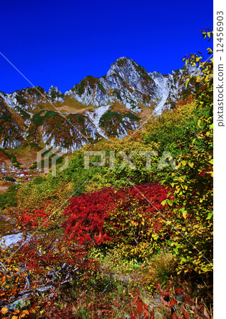 Kiso Komagatake Senjyojiki Karl's autumn leaves 12456903
