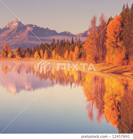 Autumn in Grand Teton 12457691