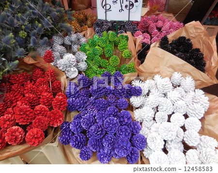 花卉市場 首飾 英國 12458583