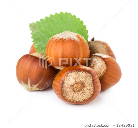 Hazelnuts Hazelnuts 12459051