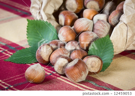 Hazelnuts 12459053
