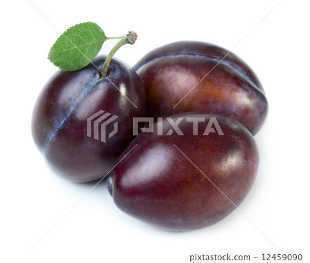 Plums Plums 12459090