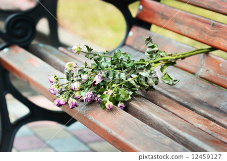 Dry bouquet 12459127