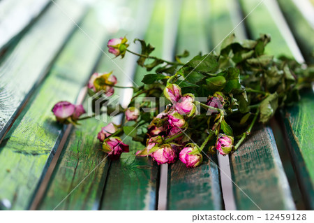 Dry bouquet 12459128