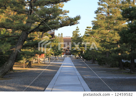 Myoshinji Temple Myoshinji Temple 12459582