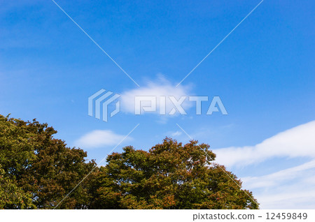 Flowing cloud Flowing cloud 12459849