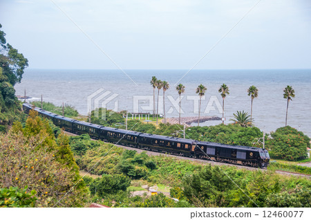 A star living in the Ariake Sea 12460077