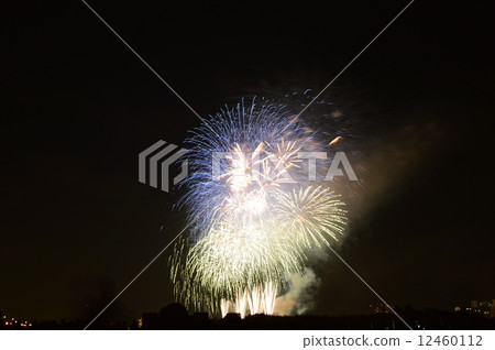 Edogawa Firework Display Competition 41 12460112