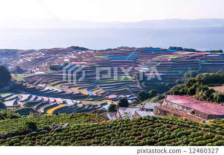 Shelf fields from Observatory of Minamioshukiyama Town Shelf fields from Observatory of Minamioshukiyama Town 12460327