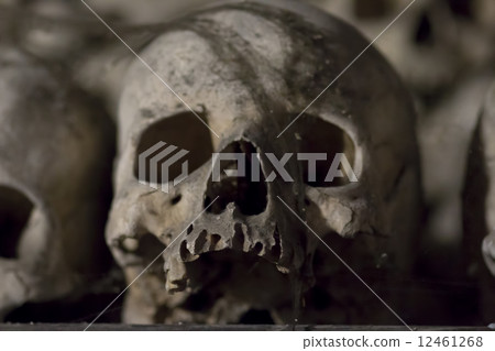 Sedlec Ossuary - Charnel-house 12461268