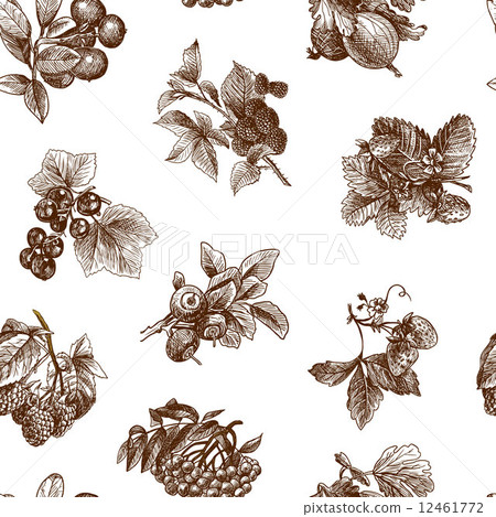 Sketch berries seamless pattern 12461772