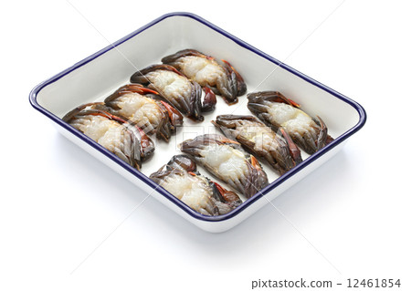 Soft Shell Club Soft Shell Club 12461854